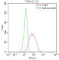 Overlay Peak curve showing 786-O cells stained with CSB-RA023445MA1HU (red line) at 1:100. Then 10% normal goat serum to block non-specific protein-protein interactions followed by the antibody (1ug/1*10 6 cells) for 45min at 4℃. The secondary antibody used was Fluorescein (FITC) AffiniPure Goat Anti-Human IgG, Fcγ fragment specific at 1:200 dilution for 35 min at 4℃.Control antibody (green line) was human IgG1 (1ug/1*10 6 cells) used under the same conditions. Acquisition of >10,000 events was performed.