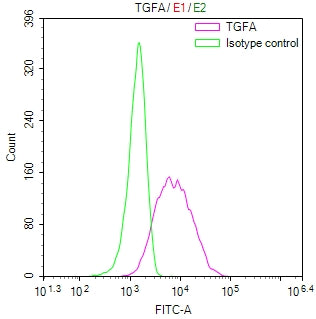 Overlay Peak curve showing 786-O cells stained with CSB-RA023445MA1HU (red line) at 1:100. Then 10% normal goat serum to block non-specific protein-protein interactions followed by the antibody (1ug/1*10 6 cells) for 45min at 4℃. The secondary antibody used was Fluorescein (FITC) AffiniPure Goat Anti-Human IgG, Fcγ fragment specific at 1:200 dilution for 35 min at 4℃.Control antibody (green line) was human IgG1 (1ug/1*10 6 cells) used under the same conditions. Acquisition of >10,000 events was performed.