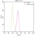 Overlay Peak curve showing PC-3 cells stained with CSB-RA023487MA1HU (red line) at 1:100. The cells were fixed in 4% formaldehyde and permeated by 0.2% TritonX-100. Then 10% normal goat serum to block non-specific protein-protein interactions followed by the antibody (1ug/1*10 6 cells) for 45min at 4℃. The secondary antibody used was FITC-conjugated Goat Anti-Mouse IgG(H+L) at 1:200 dilution for 35min at 4℃.Control antibody (green line) was mouse IgG (1ug/1*10 6 cells) used under the same conditions.