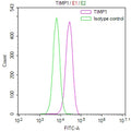 Overlay Peak curve showing U87 cells stained with CSB-RA023560MA1HU (red line) at 1:100. The cells were fixed in 4% formaldehyde and permeated by 0.2% TritonX-100 for 10min. Then 10% normal goat serum to block non-specific protein-protein interactions followed by the antibody (1ug/1*10 6 cells) for 45min at 4℃.
