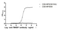 The Binding Activity of Human TM4SF1 with Anti-TM4SF1 recombinant antibodyActivity: Measured by its binding ability in a functional ELISA. Immobilized Human TM4SF1(CSB-MP023615HU) at 5 μg/mL can bind Anti-TM4SF1 recombinant antibody. the EC<sub>50</sub> is 4.079-4.472 ng/mL.The VLPs (CSB-MP3838) is negative control.