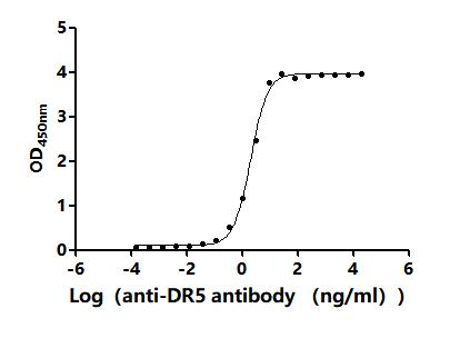 The Binding Activity of Human DR5 with Anti-DR5 Recombinant AntibodyActivity: Measured by its binding ability in a functional ELISA. Immobilized Human DR5 (CSB-MP023965HU1) at 2 μg/mL can bind Anti-DR5 recombinant antibody. The EC<sub>50</sub> is 1.880-2.195 ng/mL.