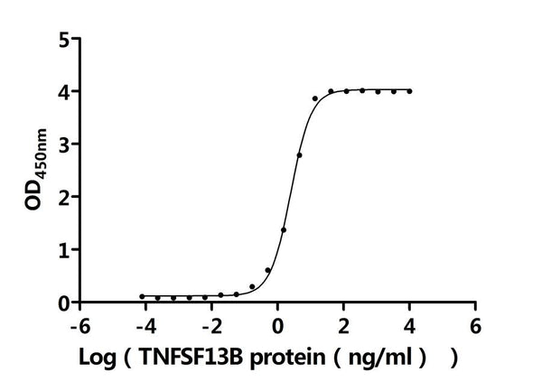 The Binding Activity of Human TNFRSF17 with Anti-TNFRSF17 recombinant antibodyActivity: Measured by its binding ability in a functional ELISA. Immobilized Human TNFRSF17 protein (CSB-MP023974HU1d7) at 2 μg/mL can bind Anti-TNFRSF17 recombinant antibody. The EC<sub>50</sub> is 2.296-2.754 ng/mL.
