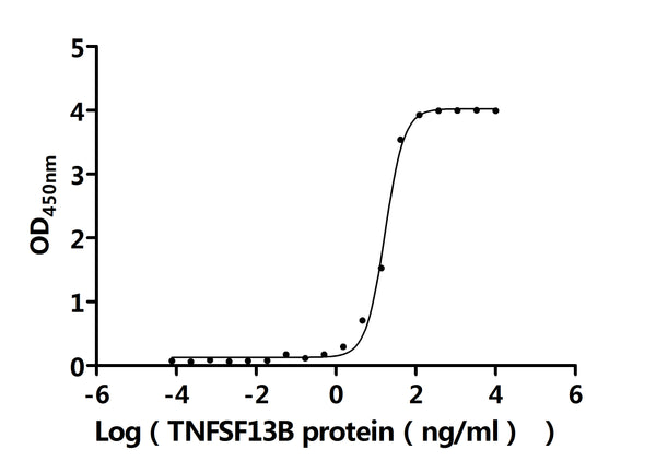 The Binding Activity of Human TNFRSF17 with Anti-TNFRSF17 recombinant antibodyActivity: Measured by its binding ability in a functional ELISA. Immobilized Human TNFRSF17 protein (CSB-MP023974HU1d7) at 2 μg/mL can bind Anti-TNFRSF17 recombinant antibody. The EC<sub>50</sub> is 14.97-19.19 ng/mL.
