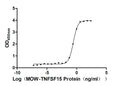 The Binding Activity of Biotinylated Macaca mulatta TNFSF15 with Anti-TNFSF15 recombinant antibodyActivity: Measured by its binding ability in a functional ELISA. Immobilized Anti-TNFSF15 recombinant antibody at 2 μg/mL can bind Biotinylated Macaca mulatta TNFSF15 (CSB-MP5305MOW-B) . The EC<sub>50</sub> is 0.2589-0.3025 ng/mL.