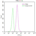 Overlay Peak curve showing MCF7 cells stained with CSB-RA024093MA1HU (red line) at 1:100. Then 10% normal goat serum to block non-specific protein-protein interactions followed by the antibody (1ug/1*10<sup>6</sup>cells) for 45min at 4℃. The secondary antibody used was FITC-conjugated Goat Anti-human IgG(H+L) at 1:200 dilution for 35min at 4℃.Control antibody (green line) was human IgG (1ug/1*10<sup>6</sup>cells) used under the same conditions. Acquisition of >10,000 events was performed.