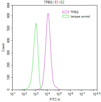 Overlay Peak curve showing MCF7 cells stained with CSB-RA024093MA1HU (red line) at 1:100. Then 10% normal goat serum to block non-specific protein-protein interactions followed by the antibody (1ug/1*10<sup>6</sup>cells) for 45min at 4℃. The secondary antibody used was FITC-conjugated Goat Anti-human IgG(H+L) at 1:200 dilution for 35min at 4℃.Control antibody (green line) was human IgG (1ug/1*10<sup>6</sup>cells) used under the same conditions. Acquisition of >10,000 events was performed.