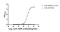 The Binding Activity of Human TSHR with Anti-TSHR Recombinant AntibodyActivity: Measured by its binding ability in a functional ELISA. Immobilized Human TSHR (CSB-MP025131HU) at 10 μg/mL can bind Anti-TSHR recombinant antibody. The EC<sub>50</sub> is 30.81-36.12 ng/mL.
The VLPs (CSB-MP3838) is negative control.