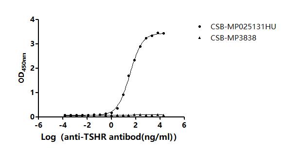 The Binding Activity of Human TSHR with Anti-TSHR Recombinant AntibodyActivity: Measured by its binding ability in a functional ELISA. Immobilized Human TSHR (CSB-MP025131HU) at 10 μg/mL can bind Anti-TSHR recombinant antibody. The EC<sub>50</sub> is 30.81-36.12 ng/mL.
The VLPs (CSB-MP3838) is negative control.