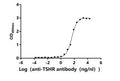 The Binding Activity of Human TSHR with Anti-TSHR Recombinant antibodyActivity: Measured by its binding ability in a functional ELISA. Immobilized Human TSHR (CSB-MP025131HU) at 10 μg/mL can bind Anti-TSHR recombinant antibody. The EC<sub>50</sub> is 37.69-53.08 ng/mL.