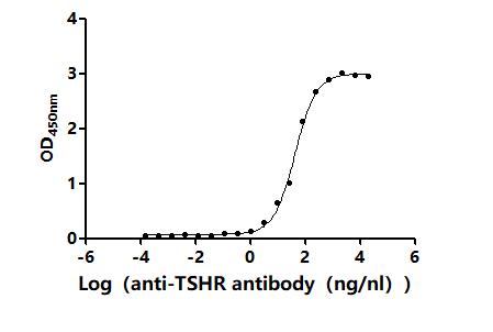 The Binding Activity of Human TSHR with Anti-TSHR Recombinant antibodyActivity: Measured by its binding ability in a functional ELISA. Immobilized Human TSHR (CSB-MP025131HU) at 10 μg/mL can bind Anti-TSHR recombinant antibody. The EC<sub>50</sub> is 37.69-53.08 ng/mL.