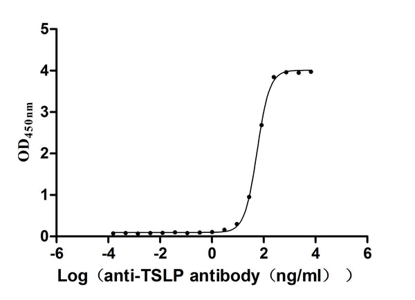 The Binding Activity of Human TSLP(R127A,R130A) with Anti-TSLP recombinant antibodyActivity: Measured by its binding ability in a functional ELISA. Immobilized human TSLP(R127A,R130A) (CSB-MP025141HU(M) ) at 2 μg/mL can bind Anti-TSLP recombinant antibody. The EC<sub>50</sub> is 52.55-58.67 ng/mL.