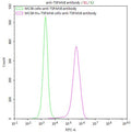Untransfected MC38 cells (green line) and transfected Human TSPAN8 MC38 stable cells (red line) were stained with anti-TSPAN8 antibody (CSB-RA025166MA2HU) (2µg/1*10<sup>6</sup>cells) , washed and then followed by FITC-conjugated anti-Human IgG Fc antibody and analyzed with flow cytometry.