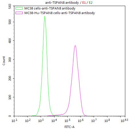 Untransfected MC38 cells (green line) and transfected Human TSPAN8 MC38 stable cells (red line) were stained with anti-TSPAN8 antibody (CSB-RA025166MA2HU) (2µg/1*10<sup>6</sup>cells) , washed and then followed by FITC-conjugated anti-Human IgG Fc antibody and analyzed with flow cytometry.