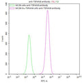 Untransfected MC38 cells (green line) and transfected Human TSPAN8 MC38 stable cells (red line) were stained with anti-TSPAN8 antibody (CSB-RA025166MA3HU) (2µg/1*10<sup>6</sup>cells) , washed and then followed by FITC-conjugated anti-Mouse IgG Fc antibody and analyzed with flow cytometry.