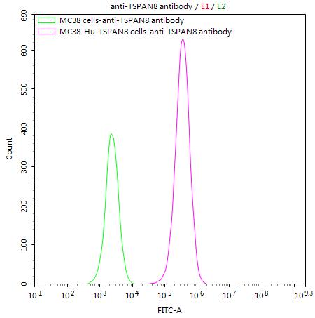 Untransfected MC38 cells (green line) and transfected Human TSPAN8 MC38 stable cells (red line) were stained with anti-TSPAN8 antibody (CSB-RA025166MA3HU) (2µg/1*10<sup>6</sup>cells) , washed and then followed by FITC-conjugated anti-Mouse IgG Fc antibody and analyzed with flow cytometry.