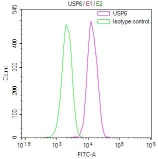 Overlay Peak curve showing jurkat cells stained with CSB-RA025747MA1HU (red line) at 1:100. The cells were fixed in 4% formaldehyde and permeated by 0.2% TritonX-100 for 10min. Then 10% normal goat serum to block non-specific protein-protein interactions followed by the antibody (1ug/1*10 6 cells) for 45min at 4℃.