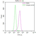 Overlay Peak curve showing HepG2 cells stained with CSB-RA029525A0HU (red line) at 1:50. The cells were fixed in 4% formaldehyde and permeated by 0.2% TritonX-100. Then 10% normal goat serum to block non-specific protein-protein interactions followed by the antibody (1µg/1*10 6 cells) for 45min at 4℃. The secondary antibody used was FITC-conjugated Goat Anti-rabbit IgG(H+L) at 1:200 dilution for 35min at 4℃.Control antibody (green line) was rabbit IgG (1µg/1*10 6 cells) used under the same conditions.