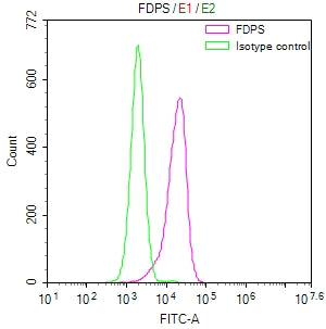 Overlay Peak curve showing HepG2 cells stained with CSB-RA029525A0HU (red line) at 1:50. The cells were fixed in 4% formaldehyde and permeated by 0.2% TritonX-100. Then 10% normal goat serum to block non-specific protein-protein interactions followed by the antibody (1µg/1*10 6 cells) for 45min at 4℃. The secondary antibody used was FITC-conjugated Goat Anti-rabbit IgG(H+L) at 1:200 dilution for 35min at 4℃.Control antibody (green line) was rabbit IgG (1µg/1*10 6 cells) used under the same conditions.