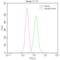 Overlay Peak curve showing Hela cells stained with CSB-RA032801A0HU (red line) at 1:50. The cells were fixed in 4% formaldehyde and permeated by 0.2% TritonX-100. Then 10% normal goat serum to block non-specific protein-protein interactions followed by the antibody (1µg/1*10 6 cells) for 45min at 4℃. The secondary antibody used was FITC-conjugated Goat Anti-rabbit IgG(H+L) at 1:200 dilution for 35min at 4℃.Control antibody (green line) was rabbit IgG (1µg/1*10 6 cells) used under the same conditions.