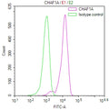 Overlay Peak curve showing SH-SY5Y cells stained with CSB-RA034568A0HU (red line) at 1:100. The cells were fixed in 4% formaldehyde and permeated by 0.2% TritonX-100 for 10min. Then 10% normal goat serum to block non-specific protein-protein interactions followed by the antibody (1ug/1*10 6 cells) for 45min at 4℃.