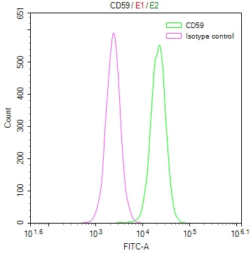 Overlay Peak curve showing Hela cells surface stained with CSB-RA046065A0HU (red line) at 1:50. Then 10% normal goat serum to block non-specific protein-protein interactions followed by the antibody (1µg/1*10<sup>6</sup>cells) for 45min at 4℃. The secondary antibody used was FITC-conjugated Goat Anti-rabbit IgG(H+L) at 1:200 dilution for 35min at 4℃.Control antibody (green line) was rabbit IgG (1µg/1*10<sup>6</sup>cells) used under the same conditions. Acquisition of >10,000 events was performed.