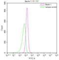 Overlay Peak curve showing RAJI cells stained with CSB-RA062241A0HU (red line) at 1:50. The cells were fixed in 4% formaldehyde and permeated by 0.2% TritonX-100. Then 10% normal goat serum to block non-specific protein-protein interactions followed by the antibody (1µg/1*10 6 cells) for 45min at 4℃. The secondary antibody used was FITC-conjugated Goat Anti-rabbit IgG(H+L) at 1:200 dilution for 35min at 4℃.Control antibody (green line) was rabbit IgG (1µg/1*10 6 cells) used under the same conditions.