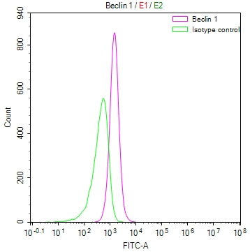 Overlay Peak curve showing RAJI cells stained with CSB-RA062241A0HU (red line) at 1:50. The cells were fixed in 4% formaldehyde and permeated by 0.2% TritonX-100. Then 10% normal goat serum to block non-specific protein-protein interactions followed by the antibody (1µg/1*10 6 cells) for 45min at 4℃. The secondary antibody used was FITC-conjugated Goat Anti-rabbit IgG(H+L) at 1:200 dilution for 35min at 4℃.Control antibody (green line) was rabbit IgG (1µg/1*10 6 cells) used under the same conditions.