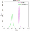 Overlay Peak curve showing Raji cells stained with CSB-RA062698A0HU (red line) at 1:100. The cells were fixed in 4% formaldehyde and permeated by 0.2% TritonX-100 for 10min. Then 10% normal goat serum to block non-specific protein-protein interactions followed by the antibody (1ug/1*10 6 cells) for 45min at 4℃.