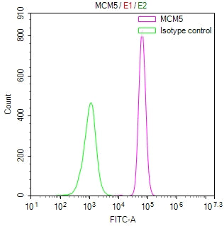 Overlay Peak curve showing Raji cells stained with CSB-RA062698A0HU (red line) at 1:100. The cells were fixed in 4% formaldehyde and permeated by 0.2% TritonX-100 for 10min. Then 10% normal goat serum to block non-specific protein-protein interactions followed by the antibody (1ug/1*10 6 cells) for 45min at 4℃.