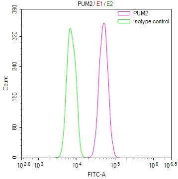 Overlay Peak curve showing Hela cells stained with CSB-RA066680A0HU (red line) at 1:100. The cells were fixed in 4% formaldehyde and permeated by 0.2% TritonX-100 for 10min. Then 10% normal goat serum to block non-specific protein-protein interactions followed by the antibody (1ug/1*10 6 cells) for 45min at 4℃.