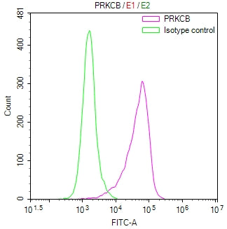 Overlay Peak curve showing K562 cells stained with CSB-RA074719A0HU (red line) at 1:100. The cells were fixed in 4% formaldehyde and permeated by 0.2% TritonX-100 for 10min. Then 10% normal goat serum to block non-specific protein-protein interactions followed by the antibody (1ug/1*10 6 cells) for 45min at 4℃.