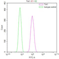 Overlay Peak curve showing SH-SY5Y cells stained with CSB-RA079763A0HU (red line) at 1:100. The cells were fixed in 4% formaldehyde and permeated by 0.2% TritonX-100 for 10min. Then 10% normal goat serum to block non-specific protein-protein interactions followed by the antibody (1ug/1*10 6 cells) for 45min at 4℃.