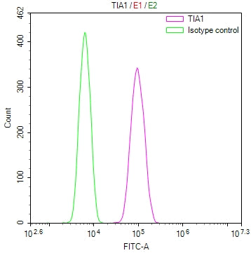 Overlay Peak curve showing SH-SY5Y cells stained with CSB-RA079763A0HU (red line) at 1:100. The cells were fixed in 4% formaldehyde and permeated by 0.2% TritonX-100 for 10min. Then 10% normal goat serum to block non-specific protein-protein interactions followed by the antibody (1ug/1*10 6 cells) for 45min at 4℃.