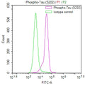 Overlay Peak curve showing SH-SY5Y cells stained with CSB-RA082445A0HU (red line) at 1:50. The cells were fixed in 4% formaldehyde and permeated by 0.2% TritonX-100. Then 10% normal goat serum to block non-specific protein-protein interactions followed by the antibody (1µg/1*10 6 cells) for 45min at 4℃. The secondary antibody used was FITC-conjugated Goat Anti-rabbit IgG(H+L) at 1:200 dilution for 35min at 4℃.Control antibody (green line) was rabbit IgG (1µg/1*10 6 cells) used under the same conditions.