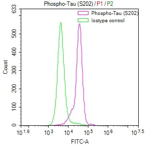Overlay Peak curve showing SH-SY5Y cells stained with CSB-RA082445A0HU (red line) at 1:50. The cells were fixed in 4% formaldehyde and permeated by 0.2% TritonX-100. Then 10% normal goat serum to block non-specific protein-protein interactions followed by the antibody (1µg/1*10 6 cells) for 45min at 4℃. The secondary antibody used was FITC-conjugated Goat Anti-rabbit IgG(H+L) at 1:200 dilution for 35min at 4℃.Control antibody (green line) was rabbit IgG (1µg/1*10 6 cells) used under the same conditions.