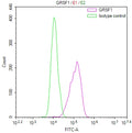 Overlay Peak curve showing HepG2 cells stained with CSB-RA083965A0HU (red line) at 1:100. The cells were fixed in 4% formaldehyde and permeated by 0.2% TritonX-100 for 10min. Then 10% normal goat serum to block non-specific protein-protein interactions followed by the antibody (1ug/1*10 6 cells) for 45min at 4℃.