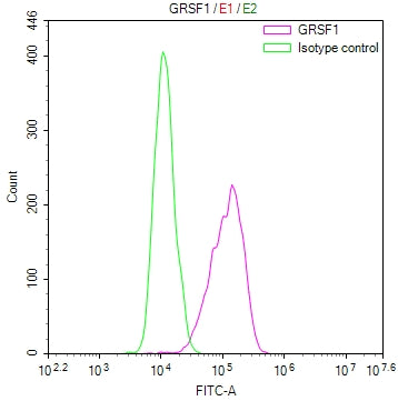Overlay Peak curve showing HepG2 cells stained with CSB-RA083965A0HU (red line) at 1:100. The cells were fixed in 4% formaldehyde and permeated by 0.2% TritonX-100 for 10min. Then 10% normal goat serum to block non-specific protein-protein interactions followed by the antibody (1ug/1*10 6 cells) for 45min at 4℃.