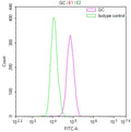 Overlay Peak curve showing HepG2 cells stained with CSB-RA089046A0HU (red line) at 1:100. The cells were fixed in 4% formaldehyde and permeated by 0.2% TritonX-100 for 10min. Then 10% normal goat serum to block non-specific protein-protein interactions followed by the antibody (1ug/1*10 6 cells) for 45min at 4℃.