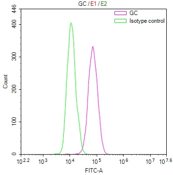 Overlay Peak curve showing HepG2 cells stained with CSB-RA089046A0HU (red line) at 1:100. The cells were fixed in 4% formaldehyde and permeated by 0.2% TritonX-100 for 10min. Then 10% normal goat serum to block non-specific protein-protein interactions followed by the antibody (1ug/1*10 6 cells) for 45min at 4℃.