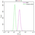Overlay Peak curve showing 786-O cells stained with CSB-RA089094A0HU (red line) at 1:100. The cells were fixed in 4% formaldehyde and permeated by 0.2% TritonX-100 for 10min. Then 10% normal goat serum to block non-specific protein-protein interactions followed by the antibody (1ug/1*10 6 cells) for 45min at 4℃.