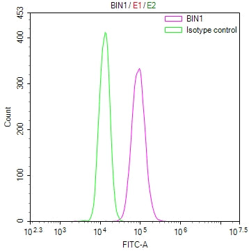 Overlay Peak curve showing 786-O cells stained with CSB-RA089094A0HU (red line) at 1:100. The cells were fixed in 4% formaldehyde and permeated by 0.2% TritonX-100 for 10min. Then 10% normal goat serum to block non-specific protein-protein interactions followed by the antibody (1ug/1*10 6 cells) for 45min at 4℃.