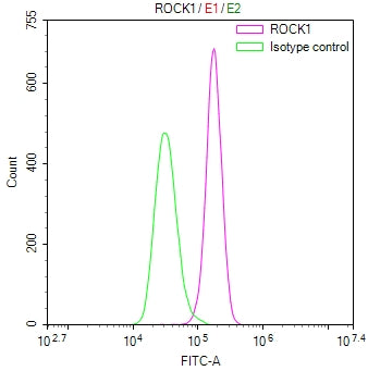 Overlay Peak curve showing Hela cells stained with CSB-RA102391A0HU (red line) at 1:100. The cells were fixed in 4% formaldehyde and permeated by 0.2% TritonX-100 for 10min. Then 10% normal goat serum to block non-specific protein-protein interactions followed by the antibody (1ug/1*10 6 cells) for 45min at 4℃.