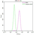 Overlay Peak curve showing jurkat cells stained with CSB-RA103196A0HU (red line) at 1:100. The cells were fixed in 4% formaldehyde and permeated by 0.2% TritonX-100 for 10min. Then 10% normal goat serum to block non-specific protein-protein interactions followed by the antibody (1ug/1*10 6 cells) for 45min at 4℃.