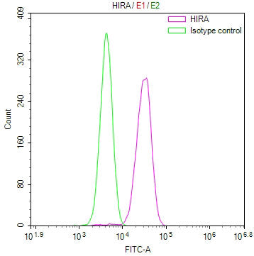 Overlay Peak curve showing jurkat cells stained with CSB-RA103196A0HU (red line) at 1:100. The cells were fixed in 4% formaldehyde and permeated by 0.2% TritonX-100 for 10min. Then 10% normal goat serum to block non-specific protein-protein interactions followed by the antibody (1ug/1*10 6 cells) for 45min at 4℃.