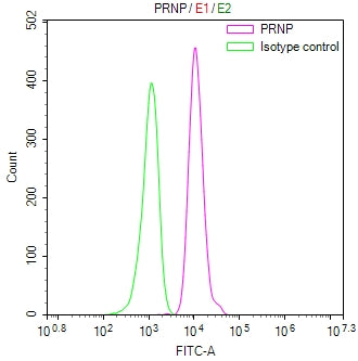 Overlay Peak curve showing A431 cells stained with CSB-RA108247A0HU (red line) at 1:100. The cells were fixed in 4% formaldehyde and permeated by 0.2% TritonX-100 for 10min. Then 10% normal goat serum to block non-specific protein-protein interactions followed by the antibody (1ug/1*10 6 cells) for 45min at 4℃.