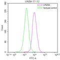 Overlay Peak curve showing HepG2 cells stained with CSB-RA108955A0HU (red line) at 1:100. The cells were fixed in 4% formaldehyde and permeated by 0.2% TritonX-100 for 10min. Then 10% normal goat serum to block non-specific protein-protein interactions followed by the antibody (1ug/1*10 6 cells) for 45min at 4℃.