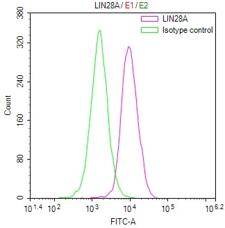 Overlay Peak curve showing HepG2 cells stained with CSB-RA108955A0HU (red line) at 1:100. The cells were fixed in 4% formaldehyde and permeated by 0.2% TritonX-100 for 10min. Then 10% normal goat serum to block non-specific protein-protein interactions followed by the antibody (1ug/1*10 6 cells) for 45min at 4℃.