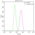 Overlay Peak curve showing U937 cells stained with CSB-RA117800A0HU (red line) at 1:50. The cells were fixed in 4% formaldehyde and permeated by 0.2% TritonX-100. Then 10% normal goat serum to block non-specific protein-protein interactions followed by the antibody (1µg/1*10 6 cells) for 45min at 4℃. The secondary antibody used was FITC-conjugated Goat Anti-rabbit IgG(H+L) at 1:200 dilution for 35min at 4℃.Control antibody (green line) was rabbit IgG (1µg/1*10 6 cells) used under the same conditions.