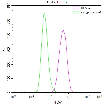 Overlay Peak curve showing U937 cells stained with CSB-RA117800A0HU (red line) at 1:50. The cells were fixed in 4% formaldehyde and permeated by 0.2% TritonX-100. Then 10% normal goat serum to block non-specific protein-protein interactions followed by the antibody (1µg/1*10 6 cells) for 45min at 4℃. The secondary antibody used was FITC-conjugated Goat Anti-rabbit IgG(H+L) at 1:200 dilution for 35min at 4℃.Control antibody (green line) was rabbit IgG (1µg/1*10 6 cells) used under the same conditions.